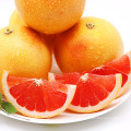 Hot Selling Quality Honey Fruit Sweet Fresh Grapefruit
